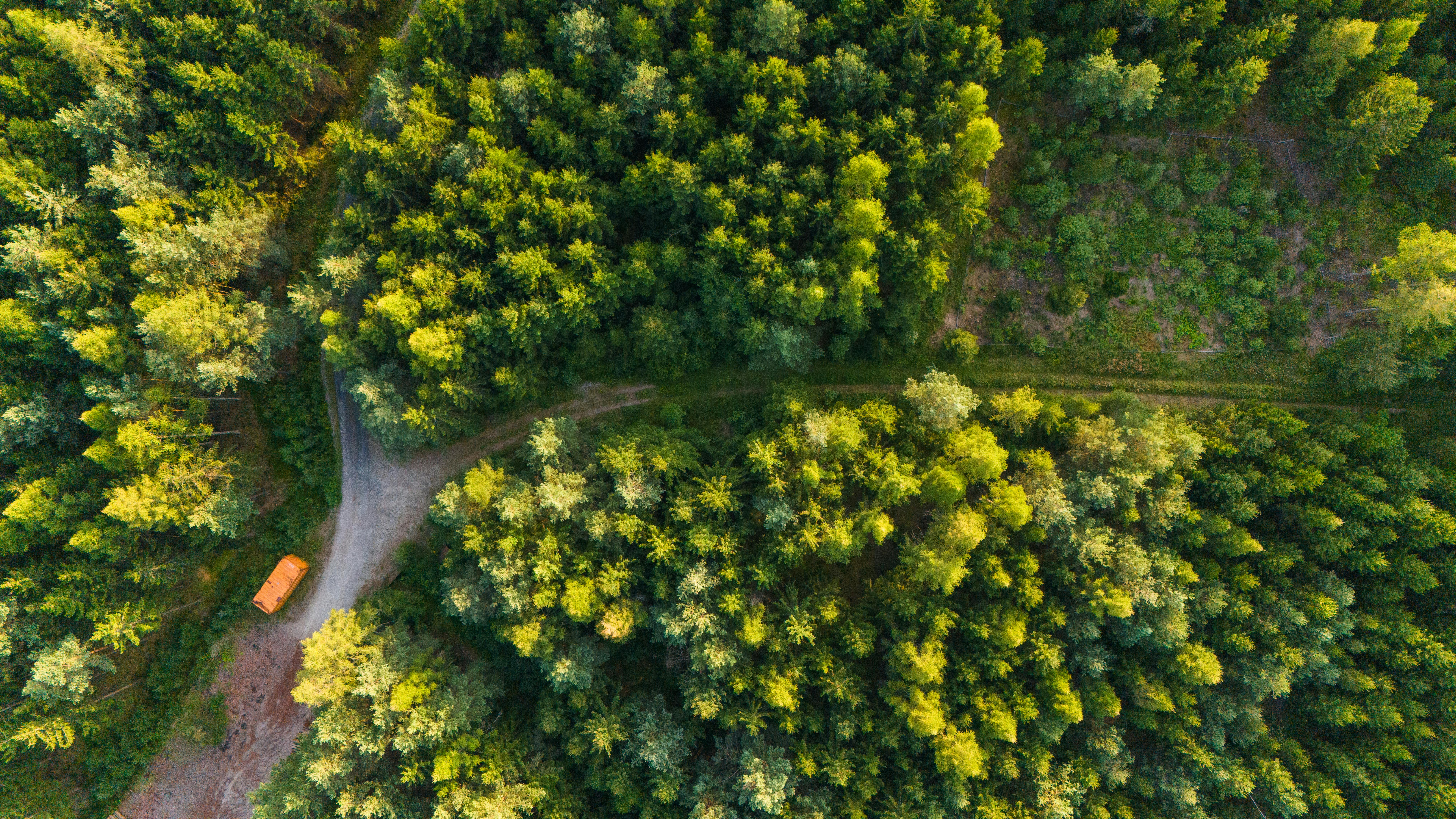 Aerial view of a lush green forest with a winding dirt road and an orange vehicle parked along the side.
